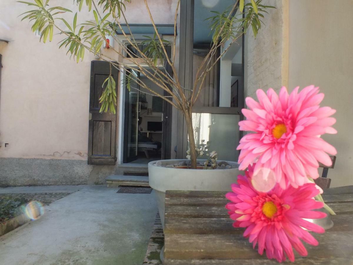 Apartament Loft Garden In Bologna'S Heart Ospedale Rizzoli Zewnętrze zdjęcie
